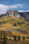 USA-Colorado-Uncompahgre National Forest Mountain and forest in autumn Art Print
